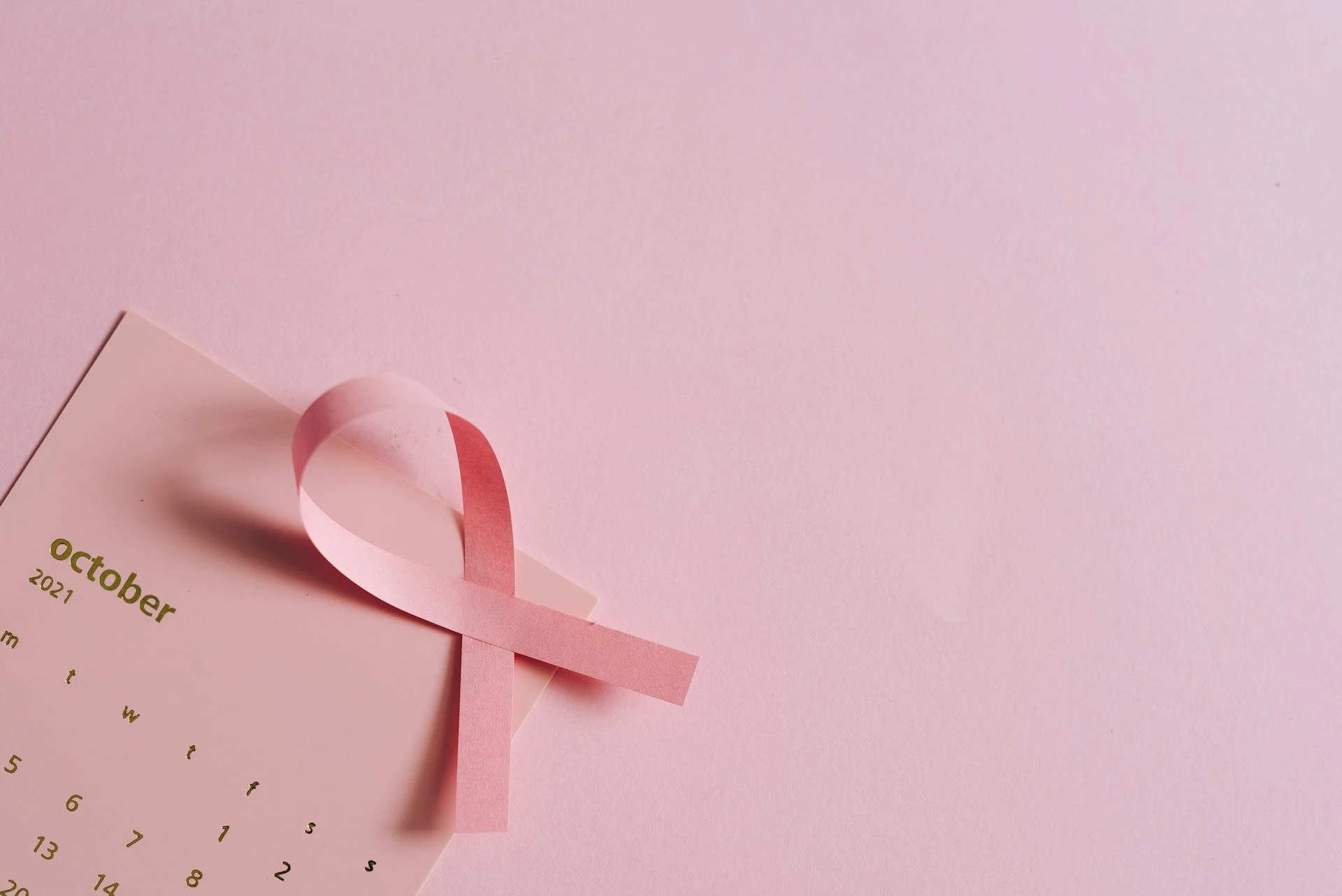 Seguro de Vida para Mulheres em Paulínia